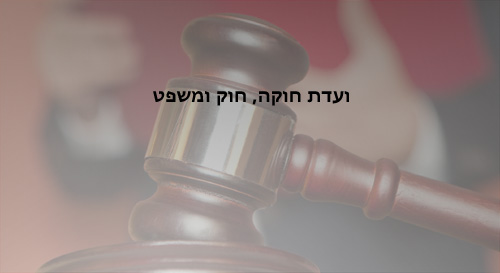 ועדת חוקה
